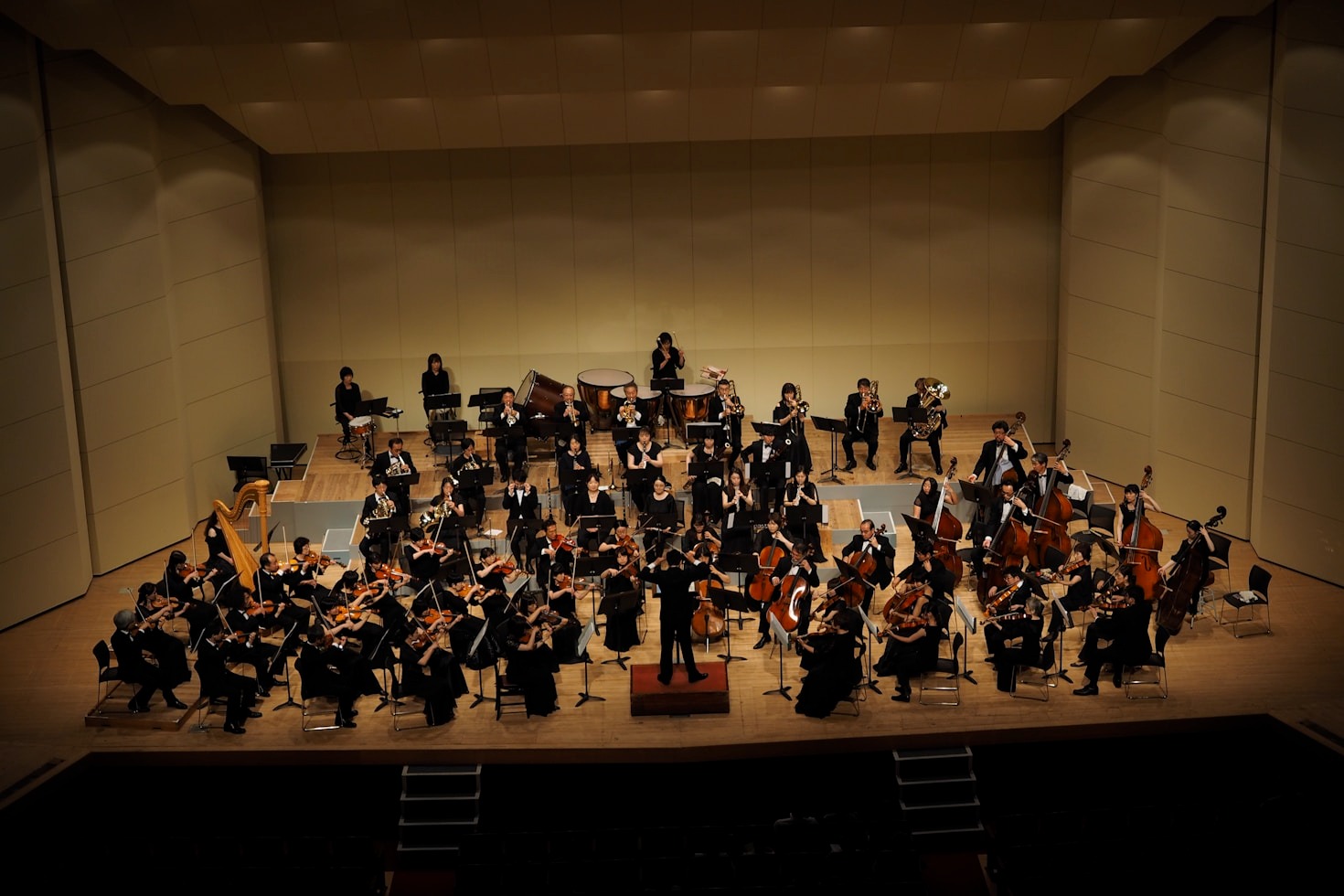 Why Our Orchestra Stands Out for Kids